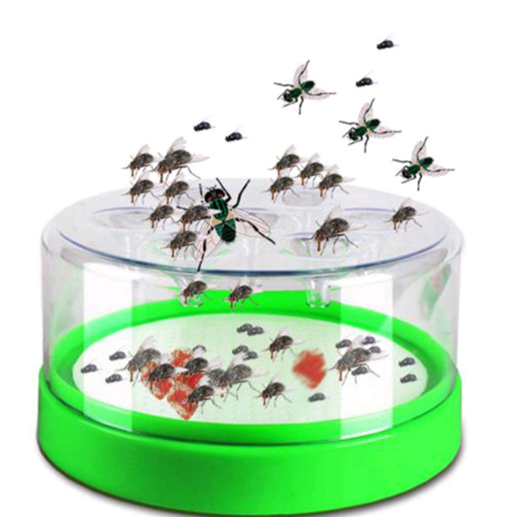 FLY TRAP